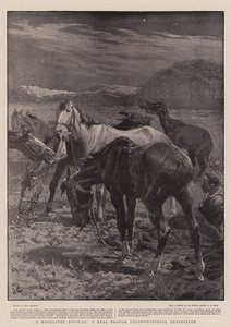 A Moonlight Bivouac ، تجربة حقيقية وإن كانت غير تقليدية